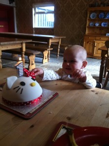 First Birthday Cake